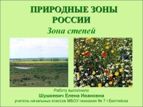 Презентация по окружающему миру на тему Зона степей