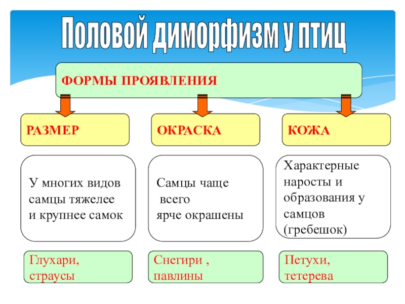 Проявить объем