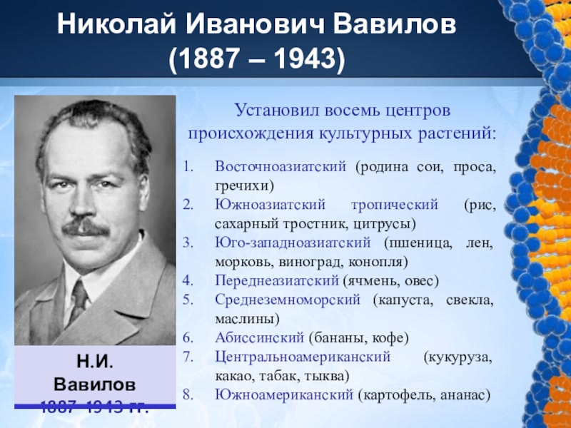 Успехи отечественной селекции презентация