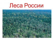 Презентация к уроку окружающего мира Леса России (4 класс)