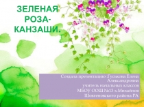 Презентация занятия Зелёная роза-канзаши
