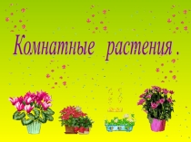 Комнатные растения в интерьере комнаты