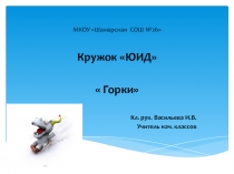 Презентация-отчёт кружка ЮИД. Операция Горка