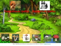 Презентация  Съедобные и несъедобные грибы