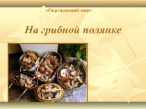 Презентация по окружающему миру Грибная полянка (1 класс)