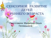 План по самообразованию Формирование сенсорной культуры в 1 младшей группе