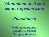 Презентация к уроку Лишайники