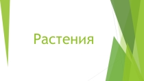 Презентация логоритмического занятия на тему Растения