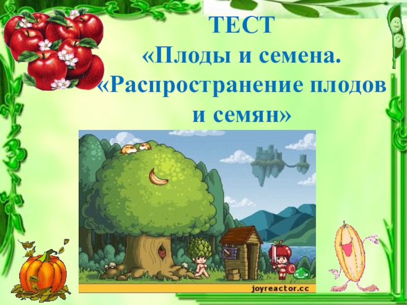 тест по биологии тема : растения. тест по биологии 6 класса строение семя однодольных растений. плоды растений егэ биология. тест плод 6 класс биология с ответами. схема строения цветка 6 класс биология из учебника.