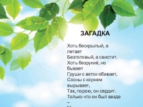 Ветер. Презентация по географии. 6 класс
