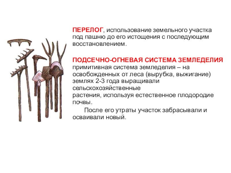 Перелог. Перелог это в древней Руси. Перелог у древних славян это. Перелог земледелие. Перелог это в истории.