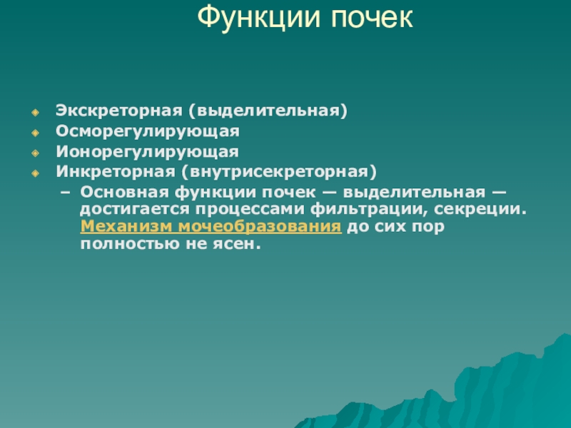 Инкреторная функция это. Осморегулирующая функция почек. Экскреторная и инкреторная функции. Процесс мочеобразования. Инкреторная функция почек.