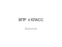 Подготовка к ВПР по биологии 6 класс