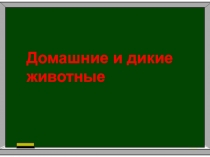 Презентация Домашние и дикие животные для начальных классов