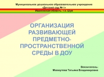 Презентация Организация развивающей предметно-пространственной среды в ДОУ
