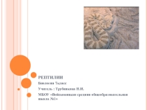 Презентация по биологии на тему Рептилии 7 класс
