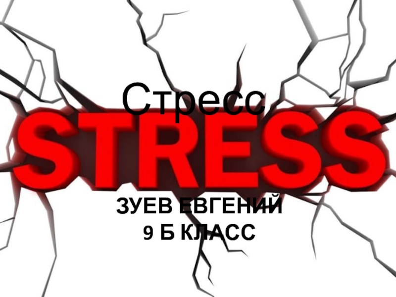 Презентация Презентация по экологии на тему стресс