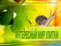 Интересный мир улитки