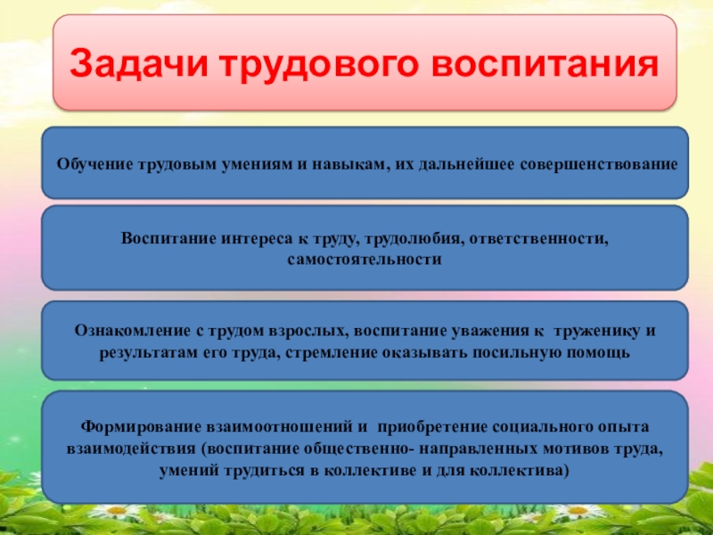 Задачи трудового воспитания