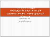Презентация по биологическому краеведению на тему Изучение следов жизнедеятельности птиц и млекопитающих Нижегородской области (6 класс)