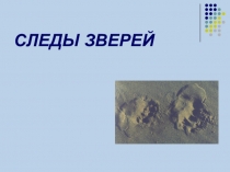 Презентация к занятию биологического кружка Следы животных