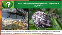 Презентация по биологии на тему Тип Членистоногие. Общая характеристика (7 класс)