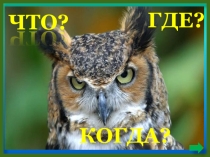 Презентация по биологии на тему Млекопитающие .Игра Что? Где? Когда?
