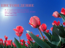 Презентация к занятию Цветоведение