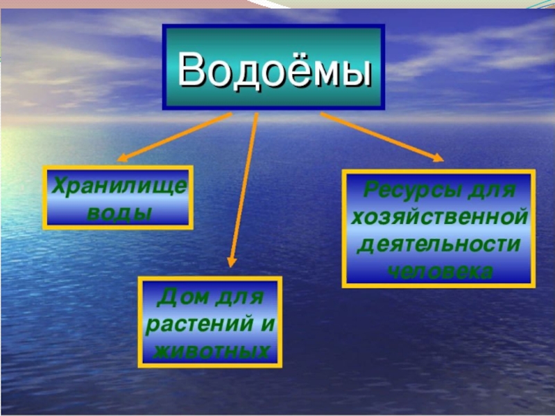 Презентация природное сообщество водоем 3 класс