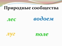Презентация по окружающему миру на тему Природные сообщества (3 класс)