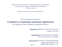 Презентация по географии Наледные процессы Зейского района 9 класс