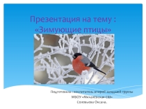 Презентация по окружающему миру для детей второй младшей группы на тему: Зимующие птицы