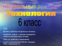 Презентация по технологии на тему Натуральные волокна (6 класс)