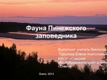 Презентация по теме: Фауна Пинежского заповедника