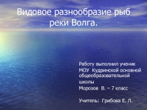 Презентация по биологии на тему Видовое разнообразие рыб реки Волга