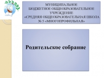 Презентация родительского собрания Образовательные программы