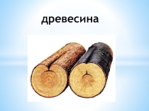Презентация к уроку трудового обучения на тему Древесина. Её свойства, назначение, инструменты, приспособления.