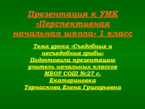 ПРЕЗЕНТАЦИЯ ПО ПРЕДМЕТУ НАШ МИР