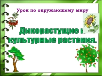 Презентация к уроку окружающего мира Дикорастущие и культурные растения
