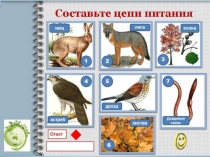 Презентация по биологии 9 класс на тему цепи питания с кроссвордом
