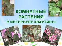 Презентация по технологии 5 класс