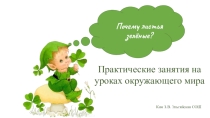 Презентация Практическое занятие на уроках окружающего мира