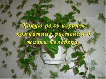 Индивидуальный проект  ЗОЖ это чистый воздух 7 класс