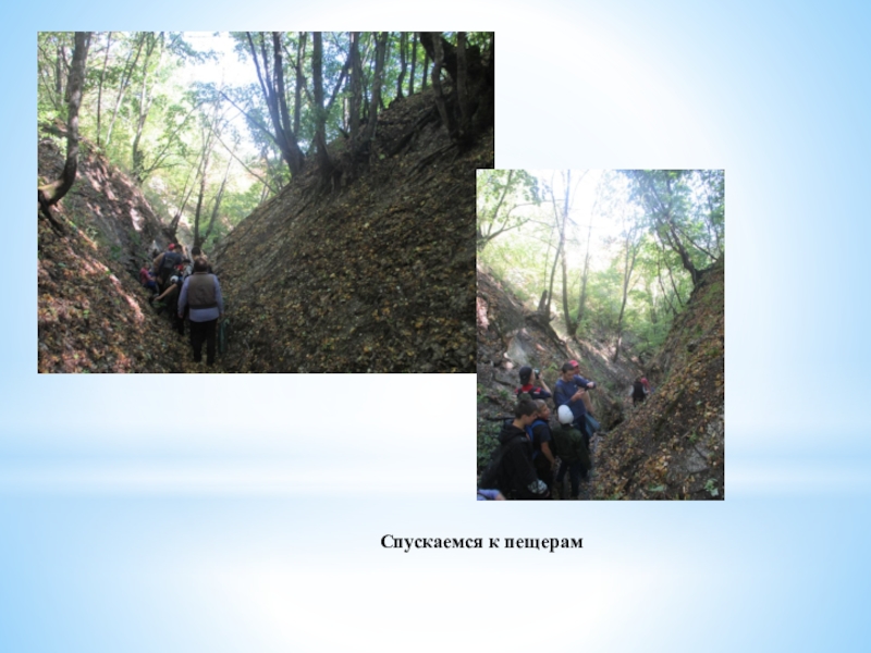 Презентация Проект Тропы здоровья Спускаемся к пещерам Спускаемся к пещерам