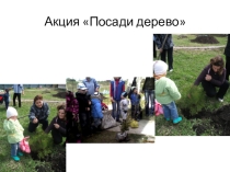 Презентация по экологическому воспитанию Здравствуй дерево!