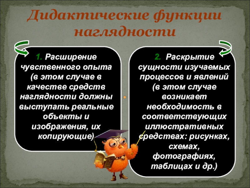 Функция дидактики связана с конструированием проекта педагогической