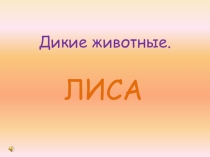 Дикие животные. Лиса