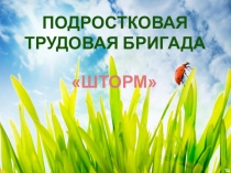Презентация - отчет о работе подростковой бригады ШТОРМ