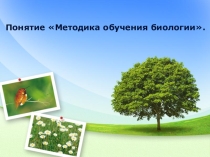 Презентация для студентов педагогического факультета Методика обучения биологии
