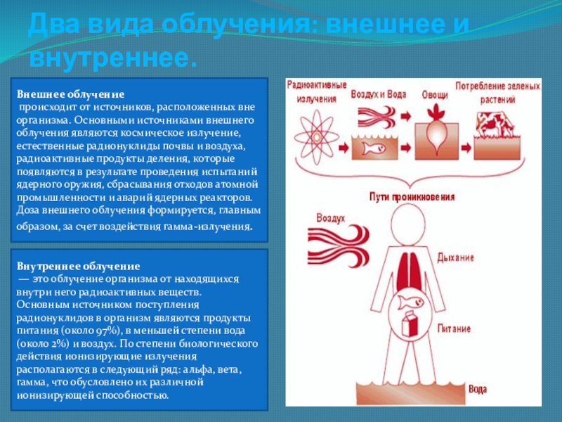 Основные виды облучения